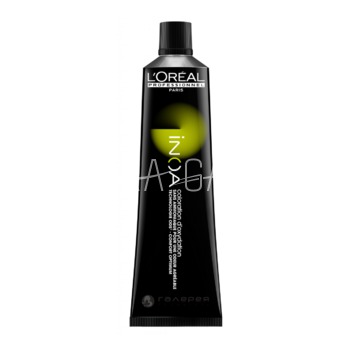 L'OREAL    Inoa ODS 2   